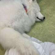 ヒメ日記 2026/03/30 21:49 投稿 わかな アラモード