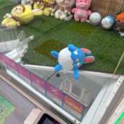 ヒメ日記 2026/03/31 09:37 投稿 わかな アラモード