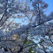 ヒメ日記 2026/04/03 12:40 投稿 わかな アラモード