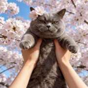 ヒメ日記 2026/04/04 12:15 投稿 わかな アラモード