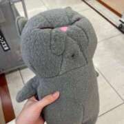 ヒメ日記 2026/04/22 11:54 投稿 わかな アラモード