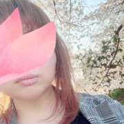 ヒメ日記 2025/04/10 02:21 投稿 りこ 君とふわふわプリンセスin熊谷