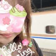 ヒメ日記 2025/04/14 14:21 投稿 りこ 君とふわふわプリンセスin熊谷