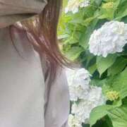 ヒメ日記 2025/06/13 22:42 投稿 りこ 君とふわふわプリンセスin熊谷