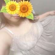 ヒメ日記 2025/07/26 23:30 投稿 りこ 君とふわふわプリンセスin熊谷