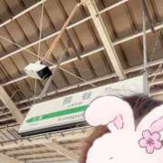 ヒメ日記 2025/08/25 23:22 投稿 りこ 君とふわふわプリンセスin熊谷