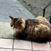 ヒメ日記 2025/05/18 18:59 投稿 美音（みと） NOA（ノア）