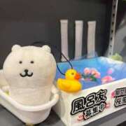 ヒメ日記 2025/05/31 19:45 投稿 美音（みと） NOA（ノア）