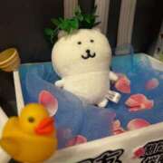 ヒメ日記 2025/06/08 12:19 投稿 美音（みと） NOA（ノア）