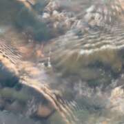 ヒメ日記 2025/08/31 12:24 投稿 美音（みと） NOA（ノア）