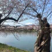 ヒメ日記 2026/04/14 21:11 投稿 美音（みと） NOA（ノア）