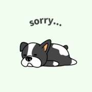 ヒメ日記 2025/05/19 08:38 投稿 ゆり ANNEX（アネックス）