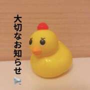 ヒメ日記 2025/09/20 19:37 投稿 ゆり ANNEX（アネックス）