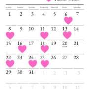 ヒメ日記 2026/02/24 13:01 投稿 ゆり ANNEX（アネックス）