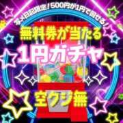 ヒメ日記 2025/07/31 15:30 投稿 あまね BiBi