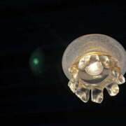 ヒメ日記 2025/03/19 14:31 投稿 める BiBi