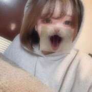 ヒメ日記 2025/04/03 15:30 投稿 める BiBi