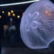 ヒメ日記 2025/04/05 20:14 投稿 める BiBi