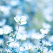 ヒメ日記 2025/04/06 16:02 投稿 める BiBi