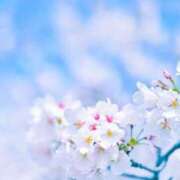 ヒメ日記 2025/04/08 17:31 投稿 める BiBi