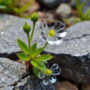 ヒメ日記 2025/04/09 13:06 投稿 める BiBi