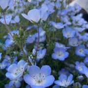 ヒメ日記 2025/05/28 12:15 投稿 める BiBi