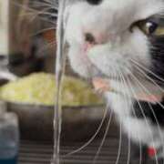 ヒメ日記 2025/06/01 16:28 投稿 める BiBi