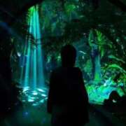 ヒメ日記 2025/06/03 11:01 投稿 める BiBi