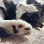 ヒメ日記 2025/06/03 12:31 投稿 める BiBi