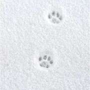 ヒメ日記 2025/06/10 17:15 投稿 める BiBi