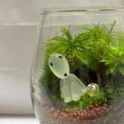 ヒメ日記 2025/06/19 18:31 投稿 める BiBi