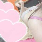 ヒメ日記 2025/08/20 14:47 投稿 ふう BiBi