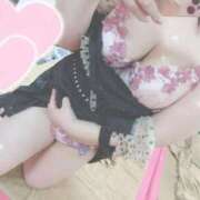 ヒメ日記 2025/11/11 11:37 投稿 ふう BiBi