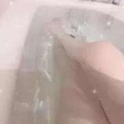 ヒメ日記 2025/10/20 17:14 投稿 ほたる BiBi