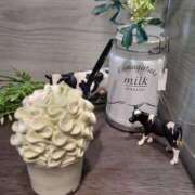 ヒメ日記 2025/11/23 20:28 投稿 ちさと BiBi