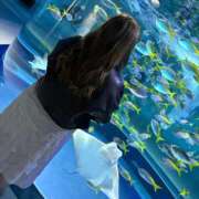 ヒメ日記 2025/05/08 16:30 投稿 そのみ BiBi