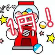 ヒメ日記 2025/07/30 19:15 投稿 うみ BiBi