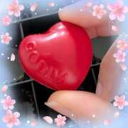 ヒメ日記 2025/04/26 00:55 投稿 ももか セレブクエスト-omiya-