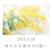 ヒメ日記 2025/03/28 22:36 投稿 ひなた エンブレイス　ダイヤモンド