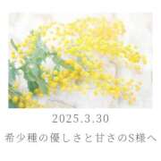 ヒメ日記 2025/03/31 06:42 投稿 ひなた エンブレイス　ダイヤモンド