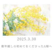 ヒメ日記 2025/03/31 07:09 投稿 ひなた エンブレイス　ダイヤモンド