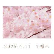 ヒメ日記 2025/04/12 12:26 投稿 ひなた エンブレイス　ダイヤモンド