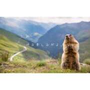 ヒメ日記 2025/05/10 20:09 投稿 ひなた エンブレイス　ダイヤモンド