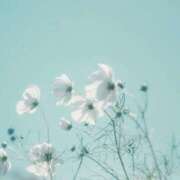 ヒメ日記 2025/08/04 20:22 投稿 ひなた エンブレイス　ダイヤモンド