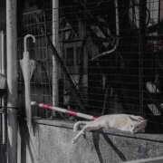 ヒメ日記 2025/08/05 22:23 投稿 ひなた エンブレイス　ダイヤモンド