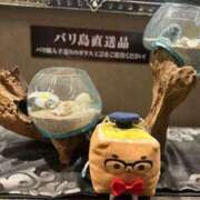 ヒメ日記 2025/03/13 04:42 投稿 さおり 横浜・関内サンキュー