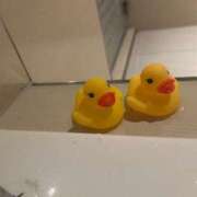 ヒメ日記 2025/03/30 07:12 投稿 さおり 横浜・関内サンキュー