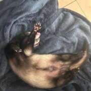 ヒメ日記 2025/04/06 16:30 投稿 はなび Gossip girl成田店