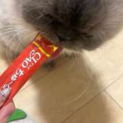 ヒメ日記 2025/04/12 20:31 投稿 はなび Gossip girl成田店