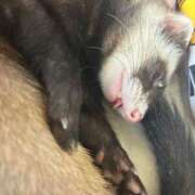 ヒメ日記 2025/04/13 19:02 投稿 はなび Gossip girl成田店